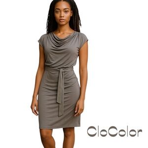 CloColor Silver With Velvet Belt BodyCon Party Event Dress NWT Size S